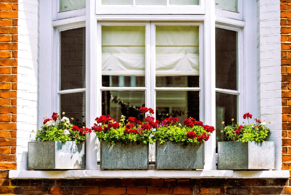 New windows and flowers nearby